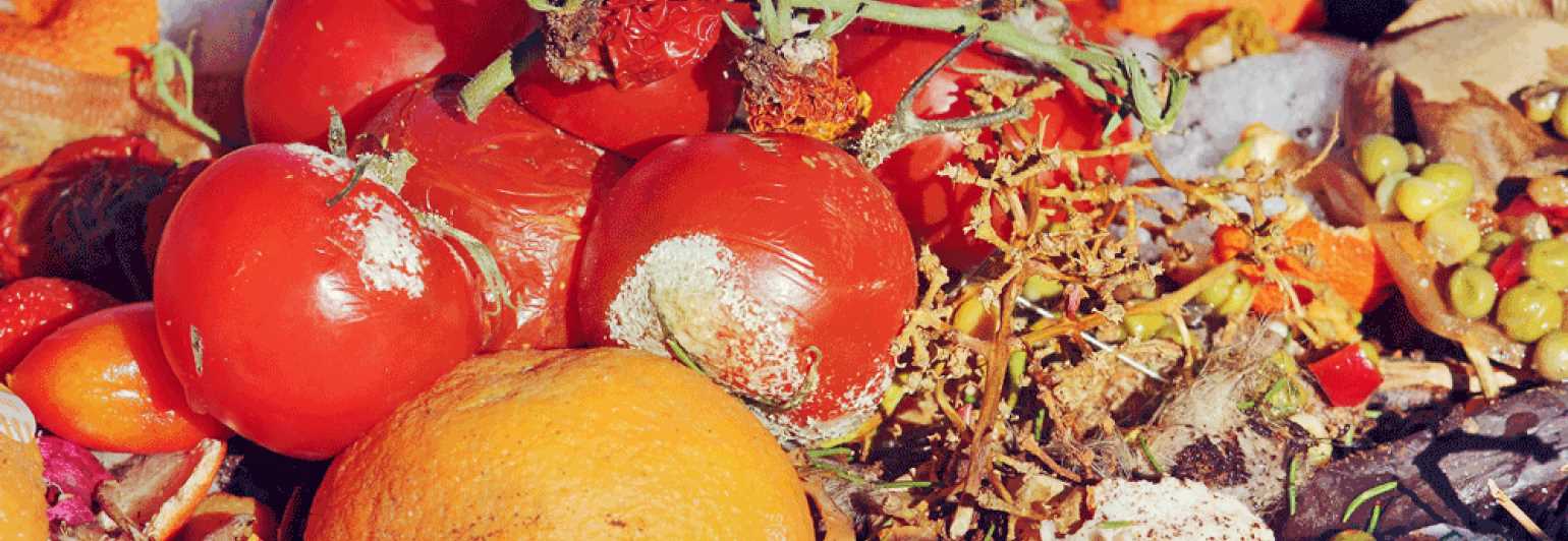 Commercial Garbage Disposal Food Waste To Be Banned