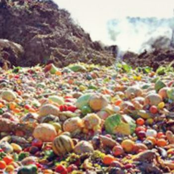 Philadelphia Restaurants Compost Their Garbage - Filter 3 Compartment Sinks