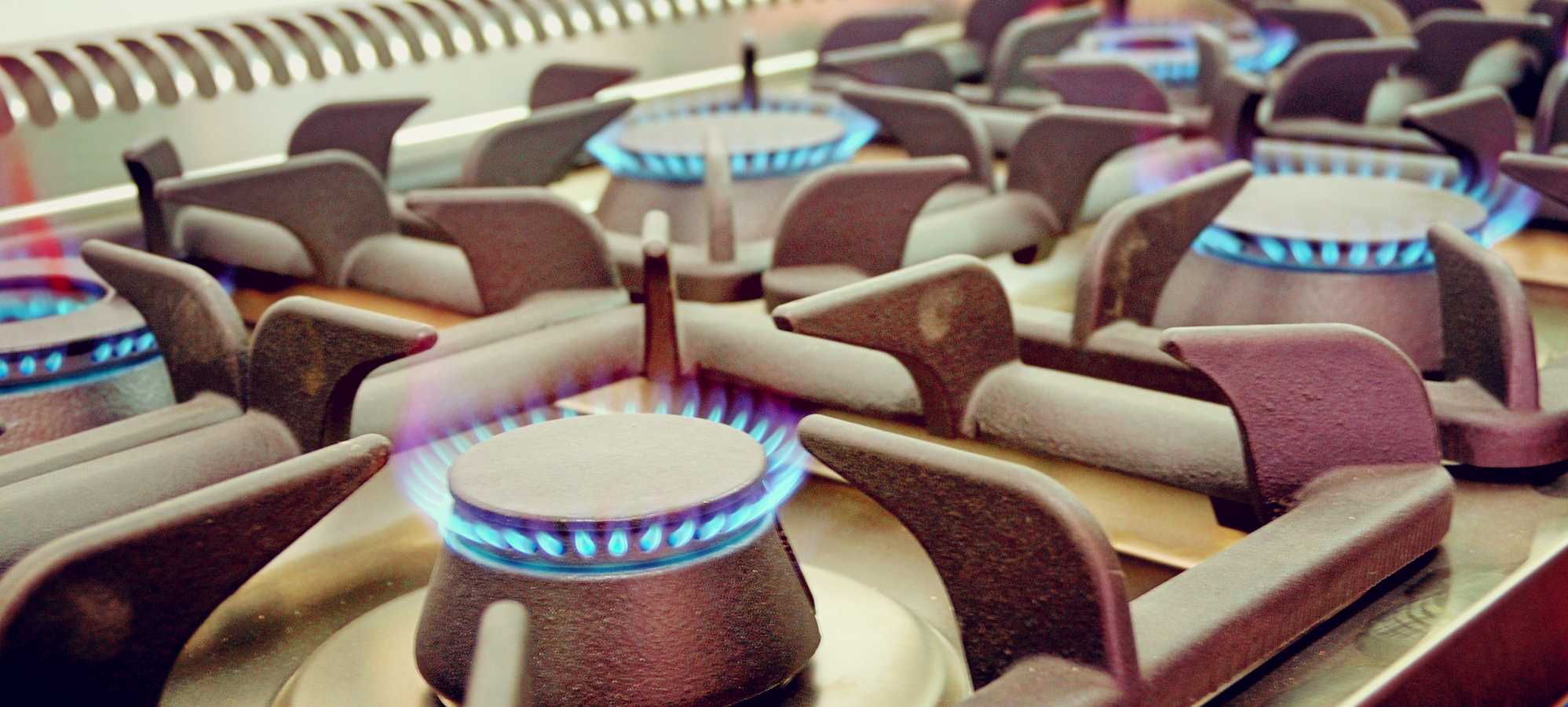 Restaurant Kitchen Equipment Commercial Garbage Disposal Alternative