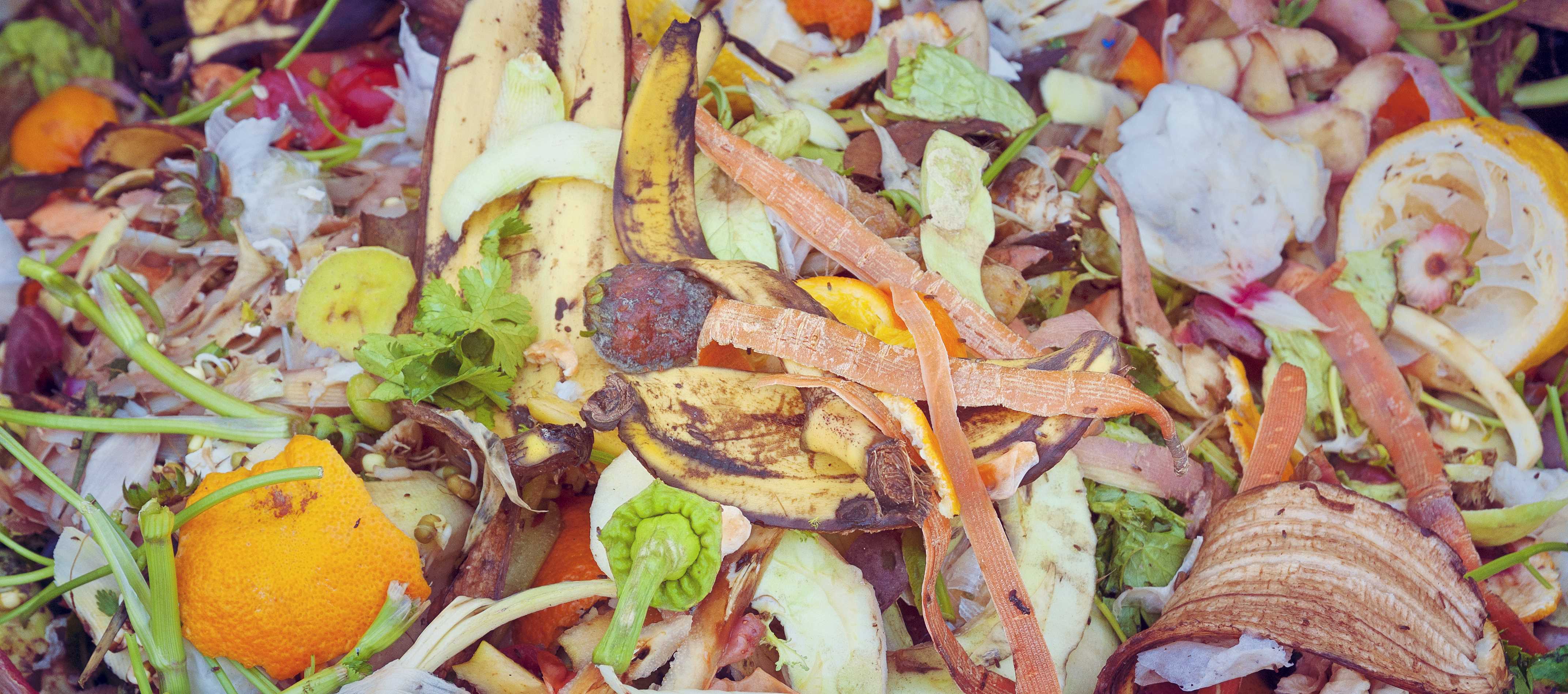 A Commercial Garbage Disposal Alternative Helps Sustainability Efforts