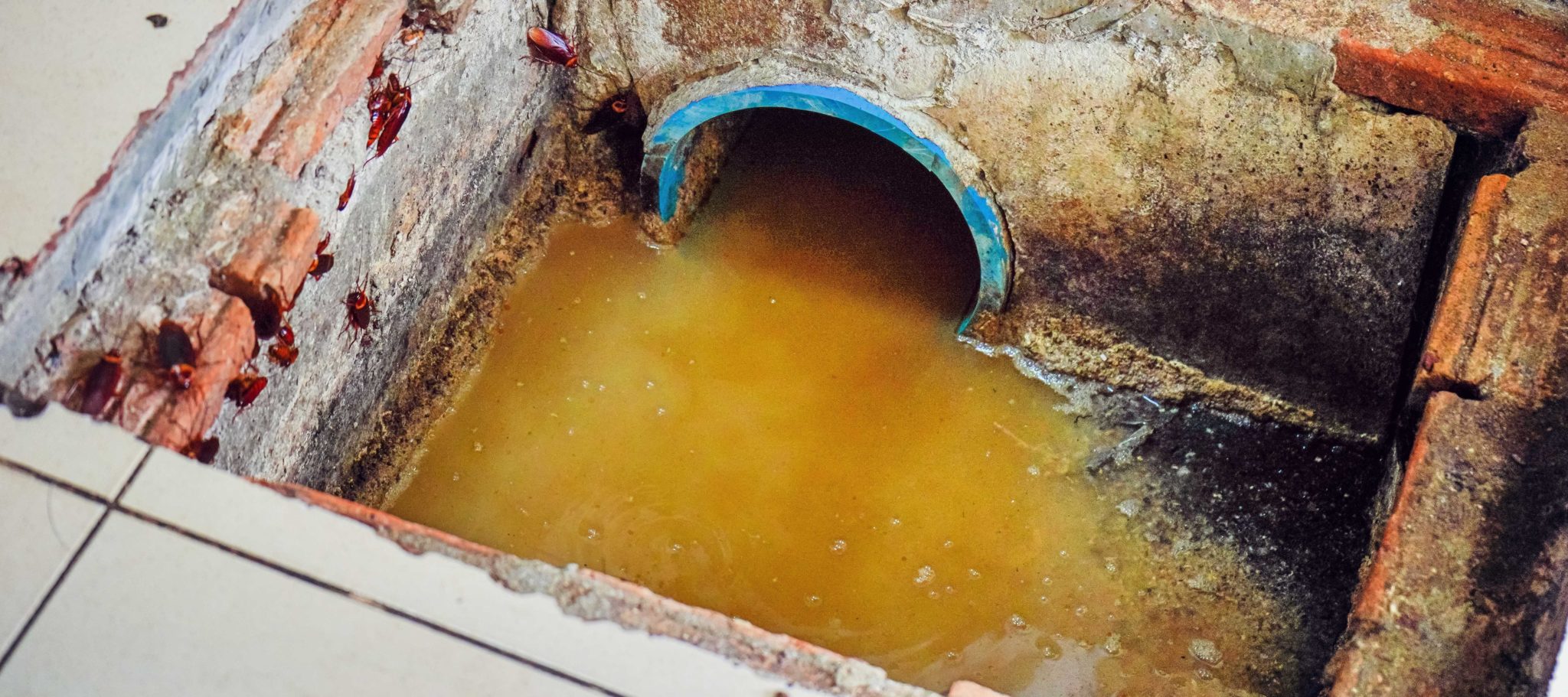 City At Odds With Illinois Restaurant Over Grease Trap Maintenance